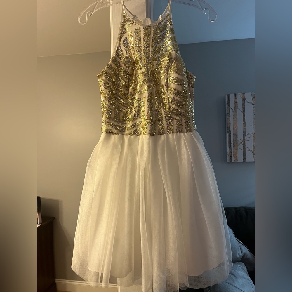 Winter formal dress
